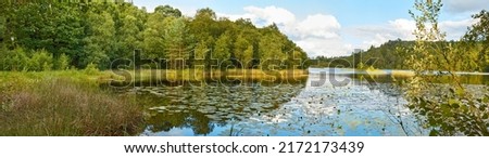 Panorama, landscape view of lily pad pond, lush evergreen trees, wild aquatic plants in Denmark. Blue sky reflecting on scenic water feature, lake with copyspace in Sweden. Peaceful scenery in Norway