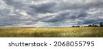 panorama of landscape in wind with meadow with tall grass, cloudy sky