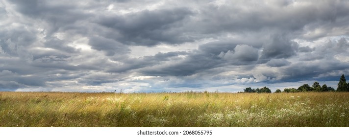 panorama of landscape in wind with meadow with tall grass, cloudy sky - Shutterstock ID 2068055795