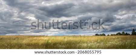 panorama of landscape in wind with meadow with tall grass, cloudy sky