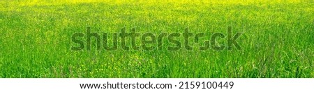 Similar – Image, Stock Photo Flax field in France