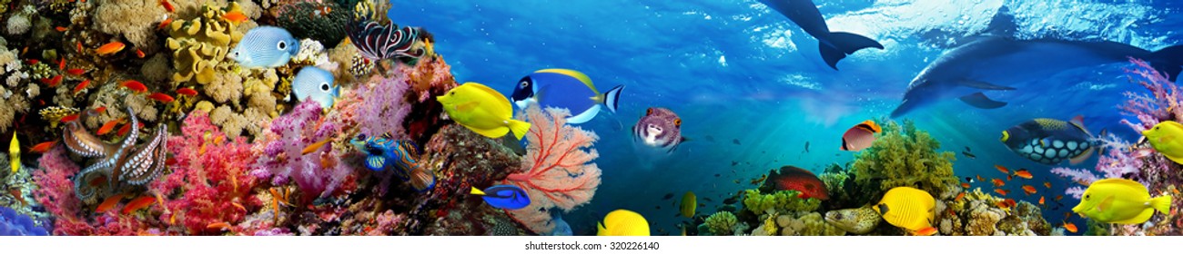 Panorama of marine species - Shutterstock ID 320226140