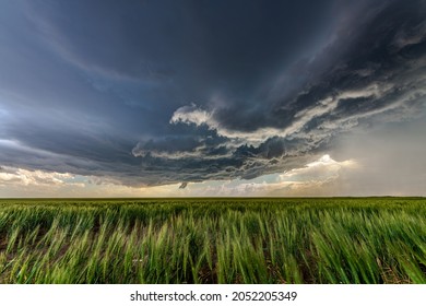 Panorama of a massive storm system, which is a pre-tornado stage, passes over a grassy part of the Great Plains while fiercely trying to generate more energy.