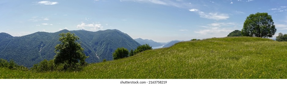 Panorama Monte Brè Above Lugano, Meadow With Tree And Mountains With Lake.