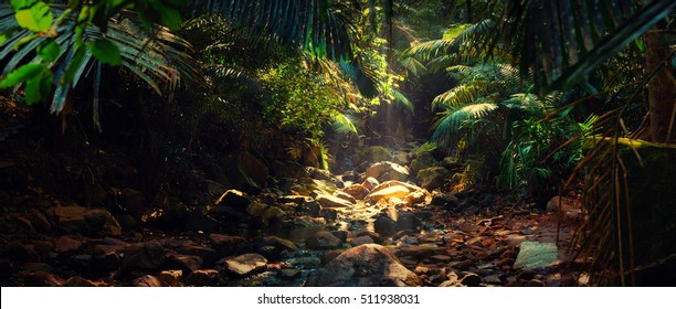 Panorama of the mountain river in the jungle, India, Goa - Powered by Shutterstock