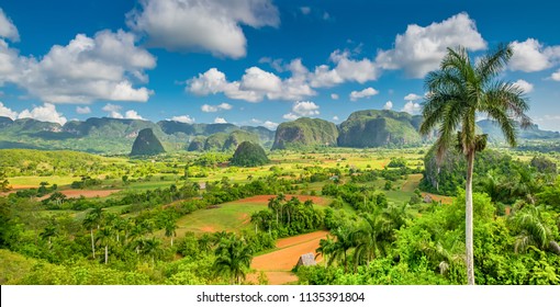 Panorama Of Viñales Mountains, Cuba