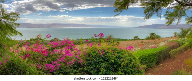 Panorama Nature - Mount of Beatitudes with flowers, and background of The Sea of Galilee