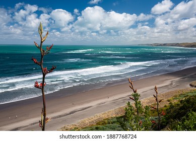 Panorama Of Ngarunui Beach, Perfect Surfing Spot In Raglan, Waikato, New Zealand