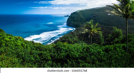 1 134 921件の ハワイ島 の画像 写真素材 ベクター画像 Shutterstock