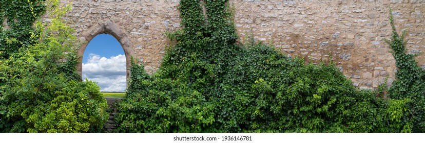 Panorama of an old, partly overgrown wall with an open, gothic window arch - Powered by Shutterstock