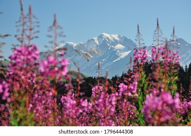 Panorama sur le massif du Mont Blanc, Alpes françaises
