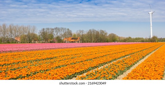 4,017 Dutch windmill panorama Images, Stock Photos & Vectors | Shutterstock