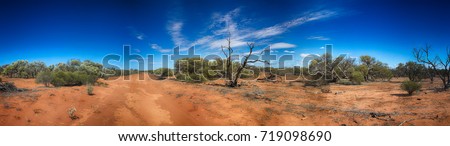 Panorama of Outback Track in Western Australia