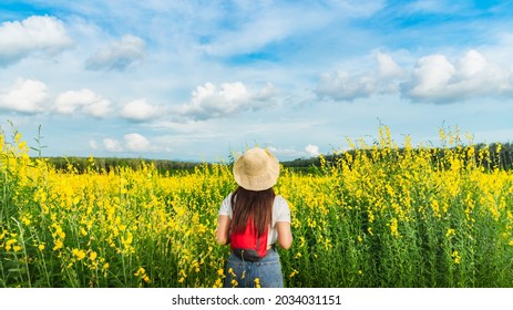 Panorama Outdoor Traveler Woman Joy Amazed Nature View Scenic Landscape Yellow Flower Blooming In Spring Season, Tourist Girl Vacation Travel Countryside Thailand, Tourism Beautiful Destination Asia