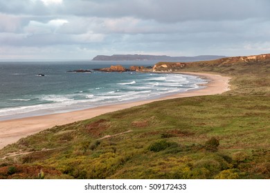 68,785 White Park Bay Images, Stock Photos & Vectors | Shutterstock