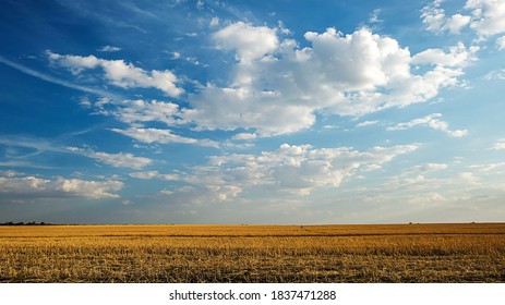 Fieldbackground Images, Stock Photos & Vectors | Shutterstock