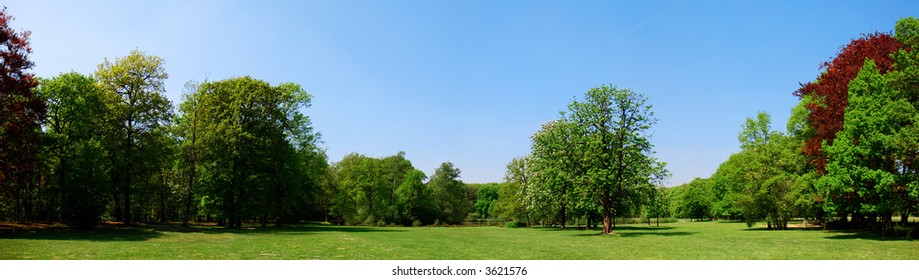 Panorama Of A Park