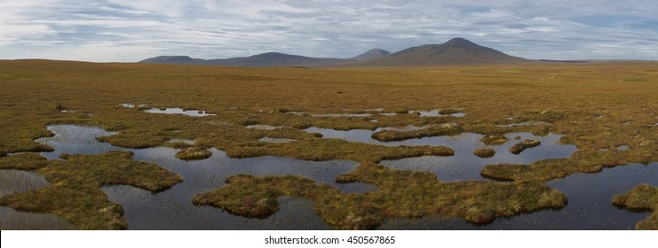 Panorama Of Peatland At Forsinard Reserve, Scotland UK/