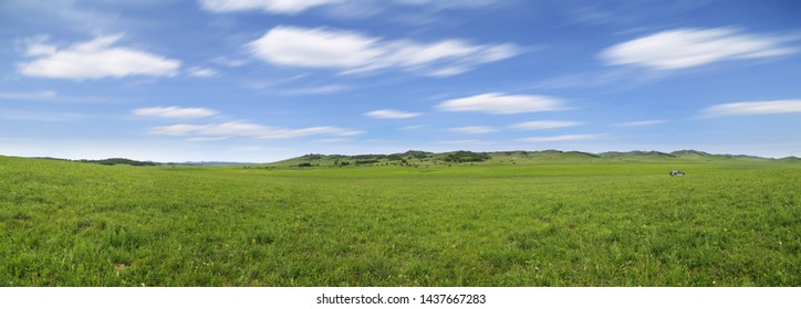 panorama of the prairie in spring