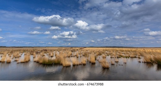 Panorama of raised bogs in Natura 2000 nature reserve Fochtelooerveen on the border of Drenthe and Friesland, Netherlands - Shutterstock ID 674673988