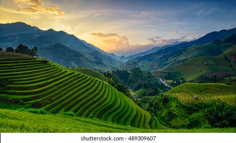 Panorama Rice fields on terraced in Sunset at Mu cang chai, Vietnam Rice fields prepare the harvest at Northwest Vietnam. Landscapes.

