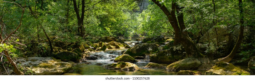 panorama of a river and its lush environment - Shutterstock ID 1100257628
