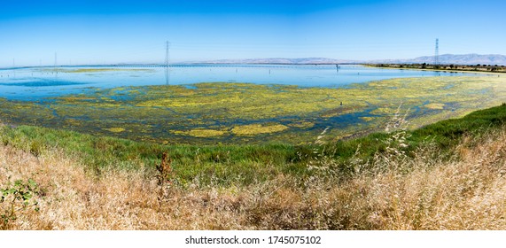 Panorama Of San Francisco Bay Estuary