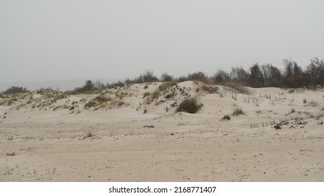 Panorama Of Sand Dunes On The Beach Near Tel Dor, Israel