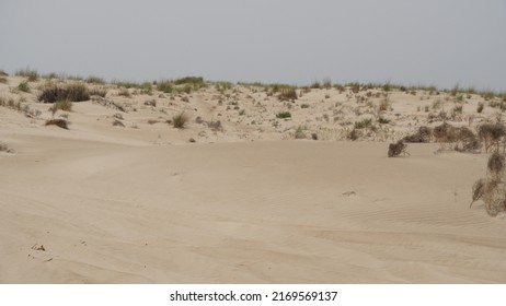 Panorama Of Sand Dunes On The Beach Near Tel Dor, Israel