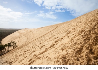 Panorama of the sandy Pila dune (Dune du Pyla) with the pine forest of Landes de Gascogne in Background. Pilat, or Pyla Dune is the biggest sand dune in Europe, in Arcachon Bay, in Aquitaine.