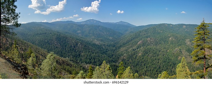 Panorama Of Shasta/Trinity National Forest In California Coast Range