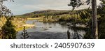 Panorama shot of yellowstone river, hills and nature at suuny day in yellowstone national park in america, usa