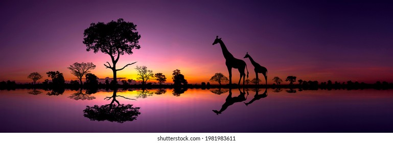 サバンナ 夕日 の画像 写真素材 ベクター画像 Shutterstock