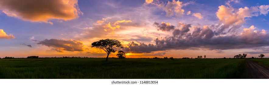 アフリカ 夕日 の画像 写真素材 ベクター画像 Shutterstock