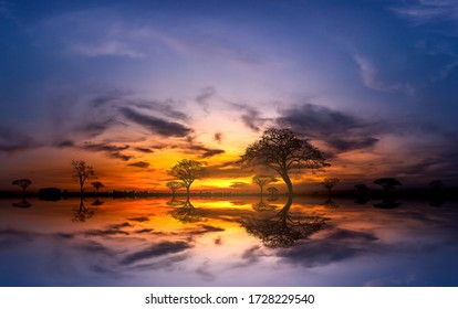 夕陽 の画像 写真素材 ベクター画像 Shutterstock