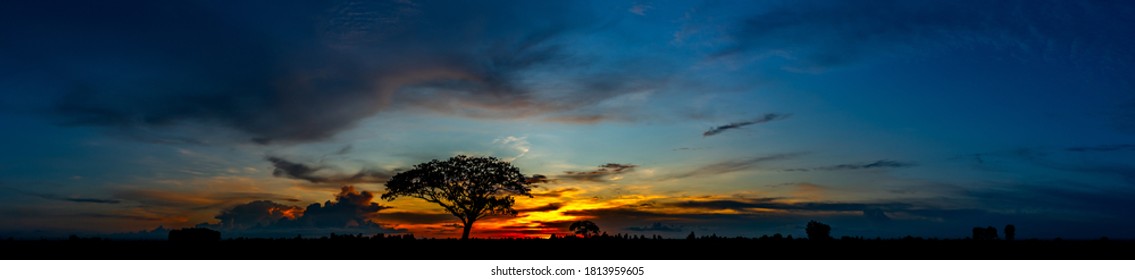 サバンナ 夕日 の画像 写真素材 ベクター画像 Shutterstock