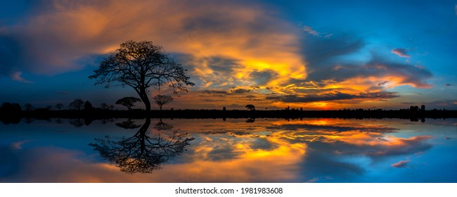 サバンナ 夕日 の画像 写真素材 ベクター画像 Shutterstock