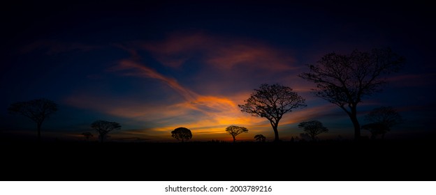 アフリカ 夕日 の画像 写真素材 ベクター画像 Shutterstock