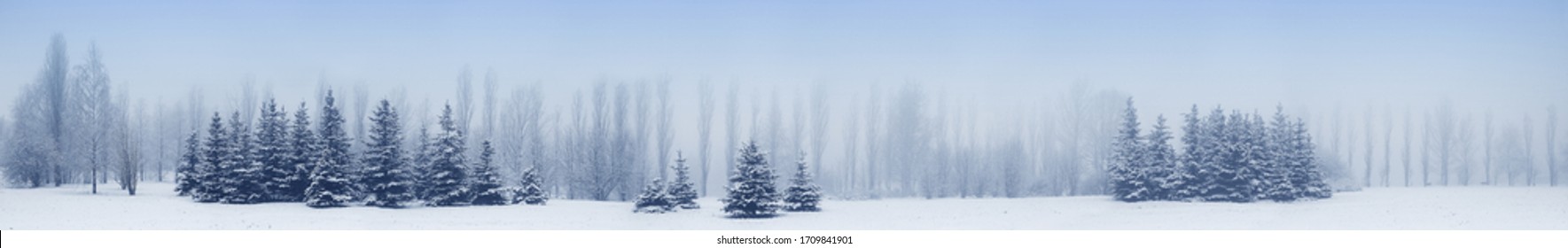 Panorama.
Snow Covered Christmas Trees.
Winter landscape in Russia. - Powered by Shutterstock