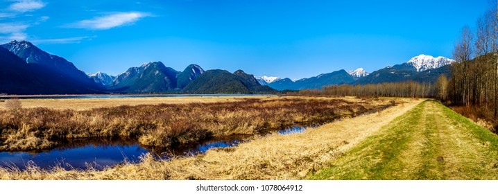 Panorama of the snow covered Golden Ears Mountain and Edge Peak from the dyke of Pitt-Addington Marsh in the Fraser Valley near Maple Ridge, British Columbia, Canada on a clear winter day - Shutterstock ID 1078064912