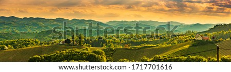 Panorama of South Styria Vineyards landscape near Austria - Slovenia border. View at Vineyard fields in sunset in spring. Tourist destination.