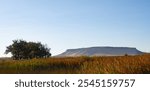 Panorama of Square Butte near Fort Shaw, Montana, with the fall colors of cattails in the foreground and cloudless blue sky above.