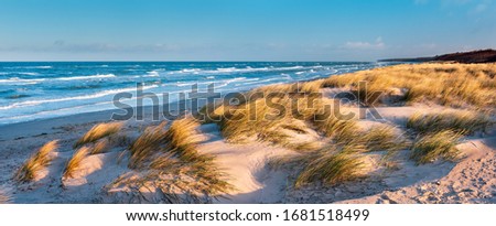 Panorama of Stormy Sea and Beach with Coastal Dunes