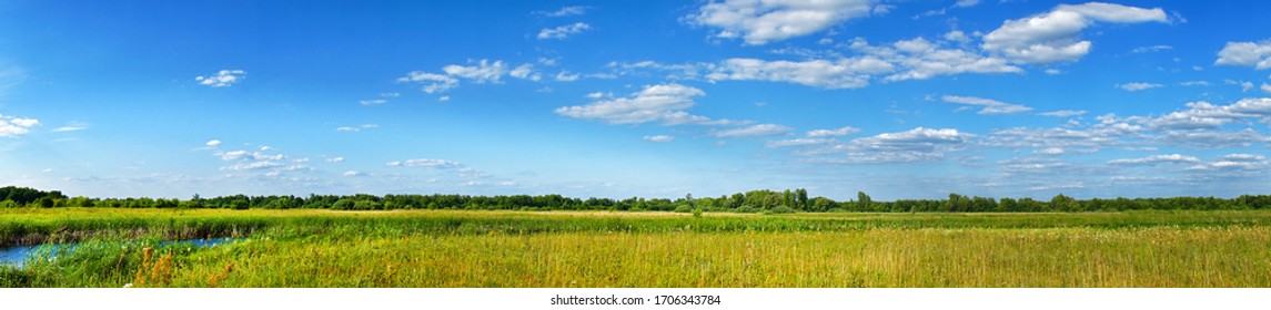 Panorama of a summer meadow against a blue sky with clouds. Summer landscape