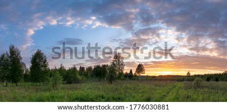 Panorama of sunset landscape of summer meadow with green grass in evening twilight under blue sky with clouds in bright sunset light, colorful panoramic view of field in sunset dusk with trees