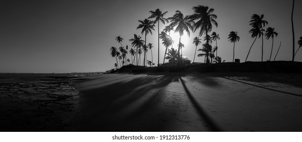 180º panorama of the sunset at Praia de Guarajuba - coast of coconut trees in Camaçari, Bahia - Brazil. Black an white photography. - Powered by Shutterstock