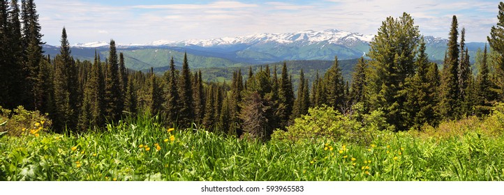 Panorama Taiga, Siberia