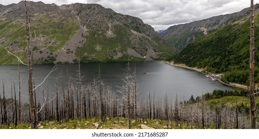 Panorama of the tall burned trees, green grass and black surface of Mugecuo lake with the boat in Kangding, Western Sichuan, China, horizontal image with copy space for text, background