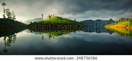 Panorama of the tea plantations at sunrise with reflection in the lake. Adam's peak - conical mountain on the horizon at right side. Sri Lanka