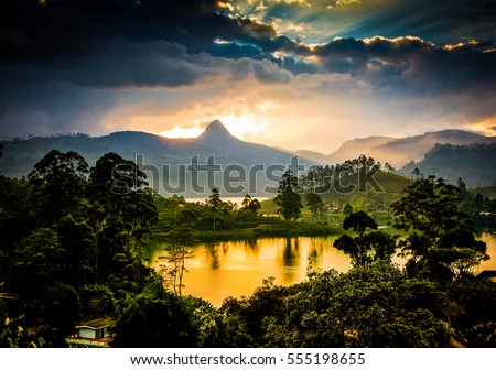 Panorama of the tea plantations at sunset - Sri Pada peak in the background